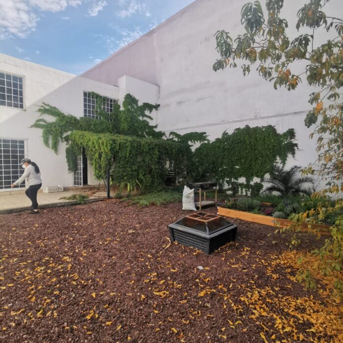 WhatsApp Image 2024-12-20 at 12.19.41 PM