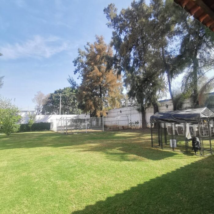 WhatsApp Image 2025-01-12 at 2.17.54 PM (2)