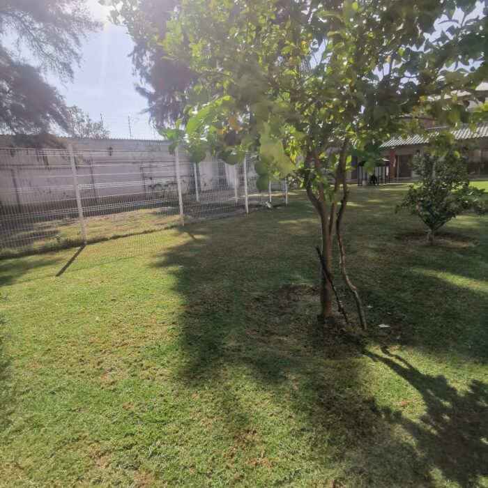 WhatsApp Image 2025-01-12 at 2.17.54 PM