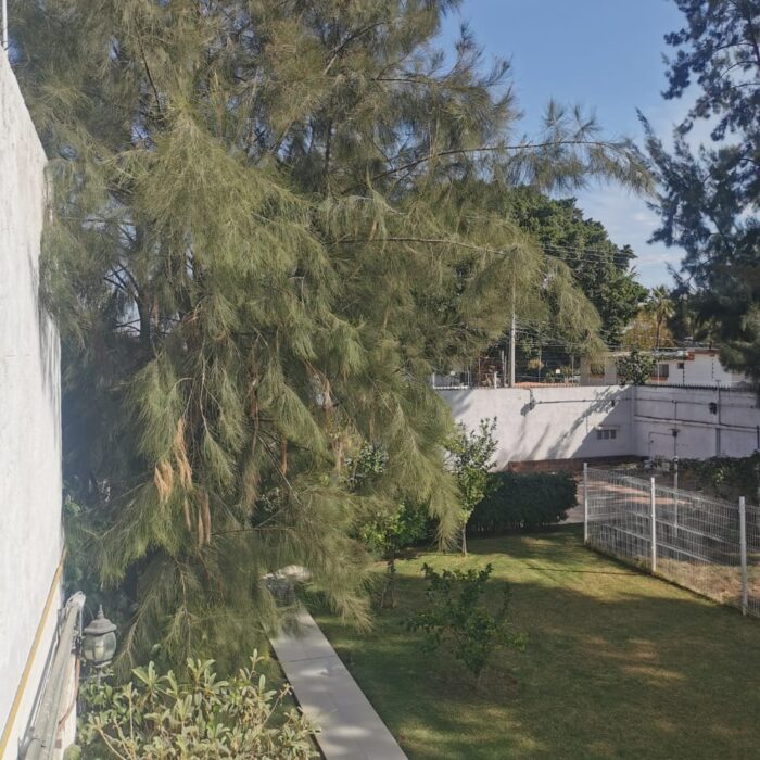 WhatsApp Image 2025-01-12 at 2.17.58 PM (5)