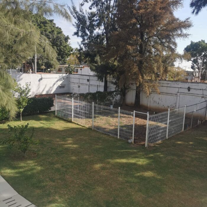 WhatsApp Image 2025-01-12 at 2.17.59 PM (3)