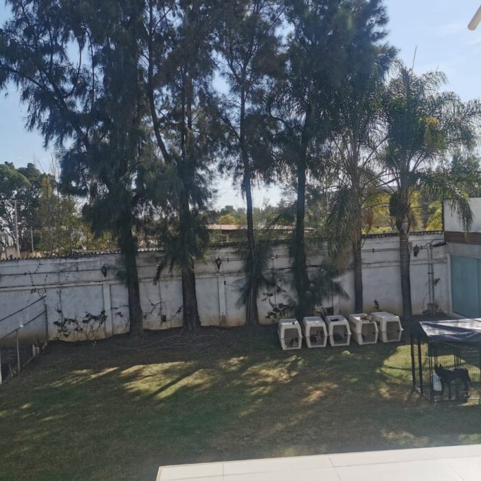 WhatsApp Image 2025-01-12 at 2.17.59 PM (4)