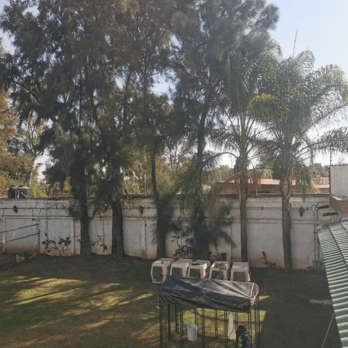 WhatsApp Image 2025-01-12 at 2.18.00 PM (2)