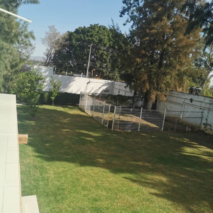 WhatsApp Image 2025-01-12 at 2.18.00 PM (3)