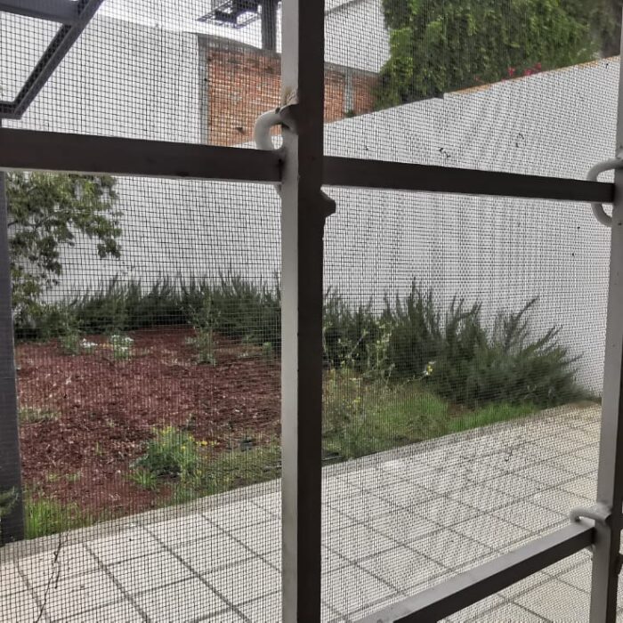 WhatsApp Image 2026-01-16 at 12.28.58 PM (1)