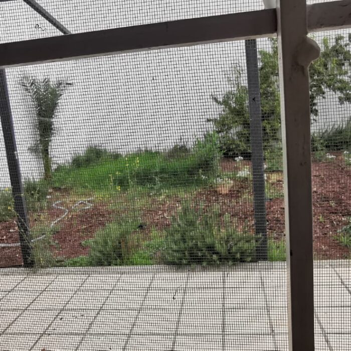 WhatsApp Image 2026-01-16 at 12.29.00 PM (6)