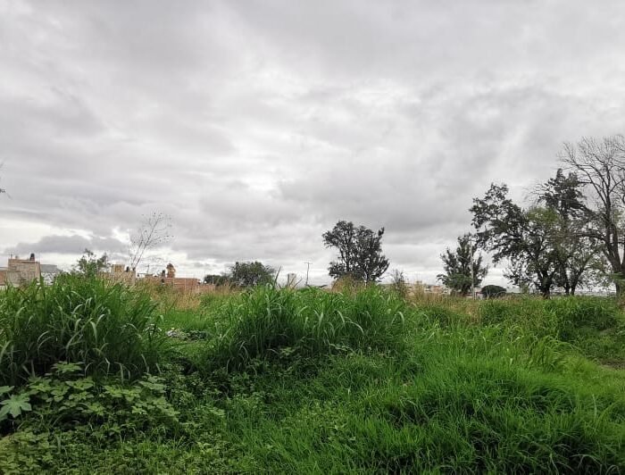 WhatsApp Image 2025-06-19 at 10.21.16 AM (3)