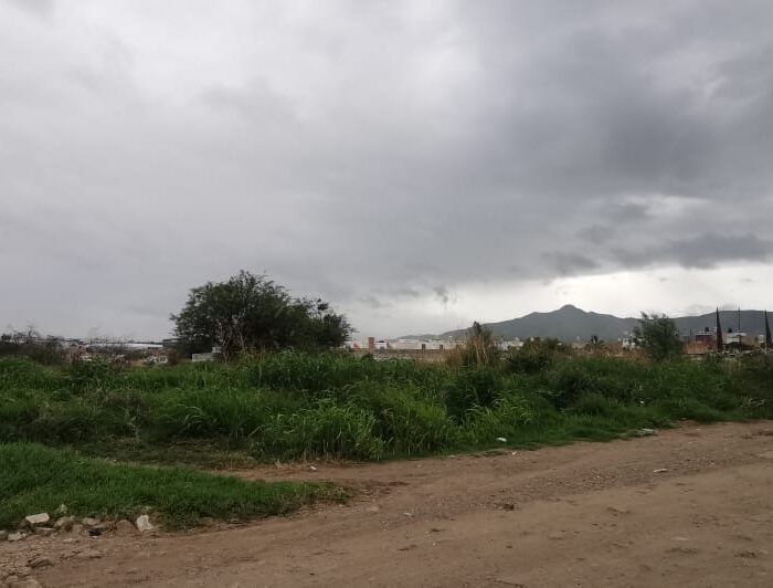 WhatsApp Image 2025-06-19 at 10.21.16 AM