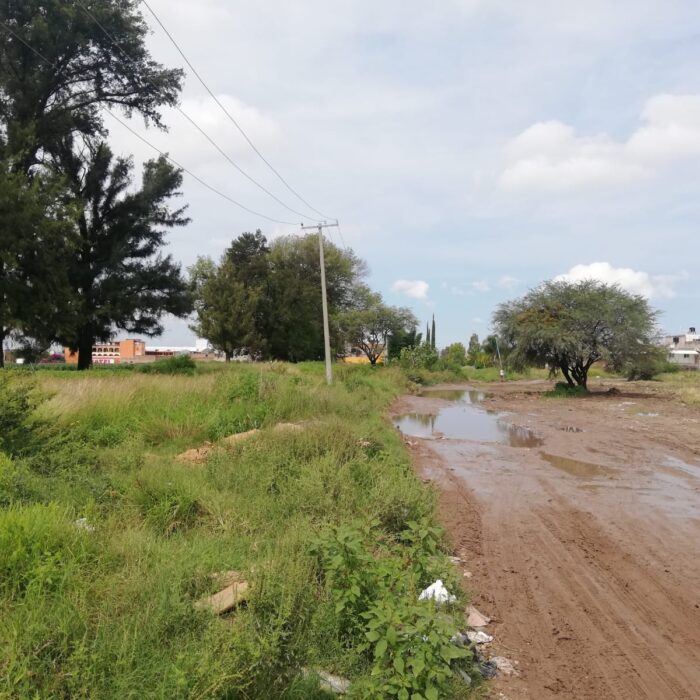 WhatsApp Image 2025-06-19 at 10.38.01 AM (1)