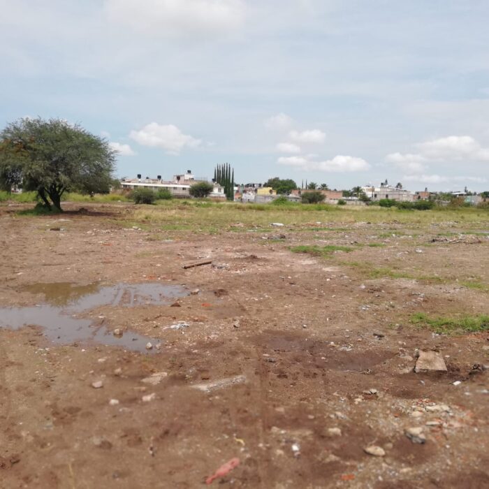 WhatsApp Image 2025-06-19 at 10.38.01 AM (2)