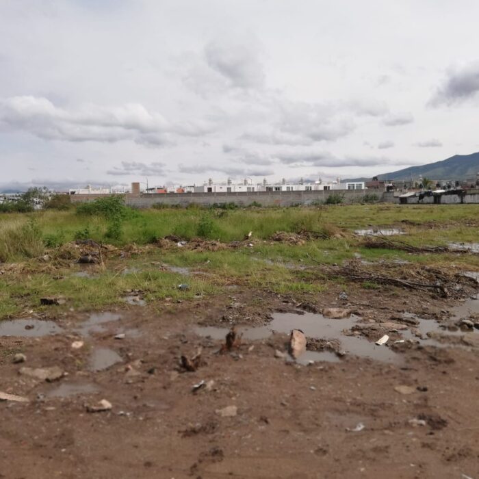 WhatsApp Image 2025-06-19 at 10.38.01 AM (3)