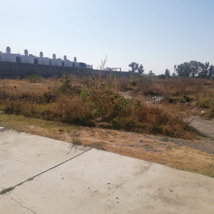 WhatsApp Image 2025-06-19 at 10.38.01 AM