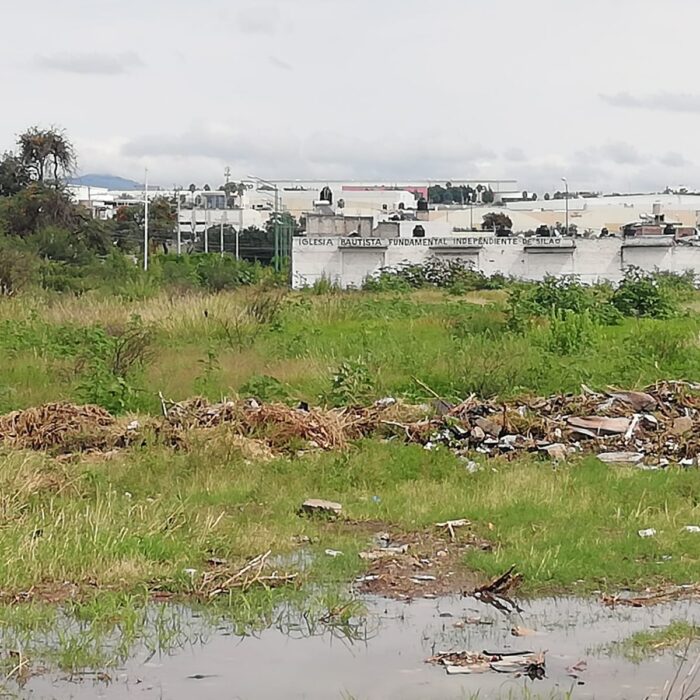 WhatsApp Image 2025-06-19 at 10.38.02 AM (1)