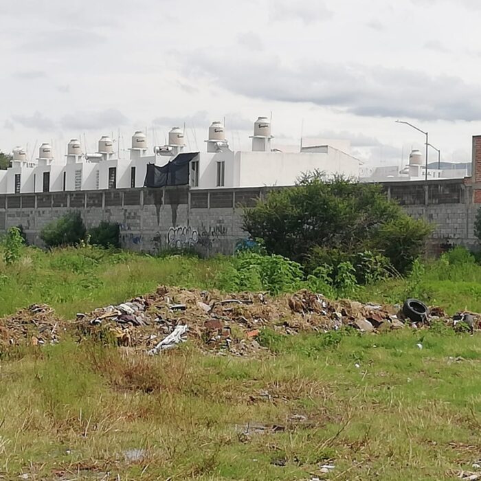 WhatsApp Image 2025-06-19 at 10.38.02 AM (2)