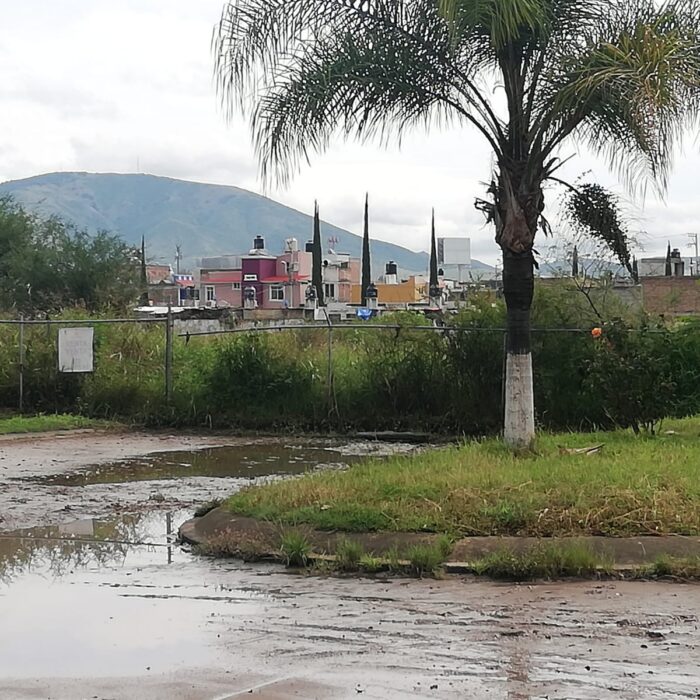 WhatsApp Image 2025-06-19 at 10.38.03 AM (1)