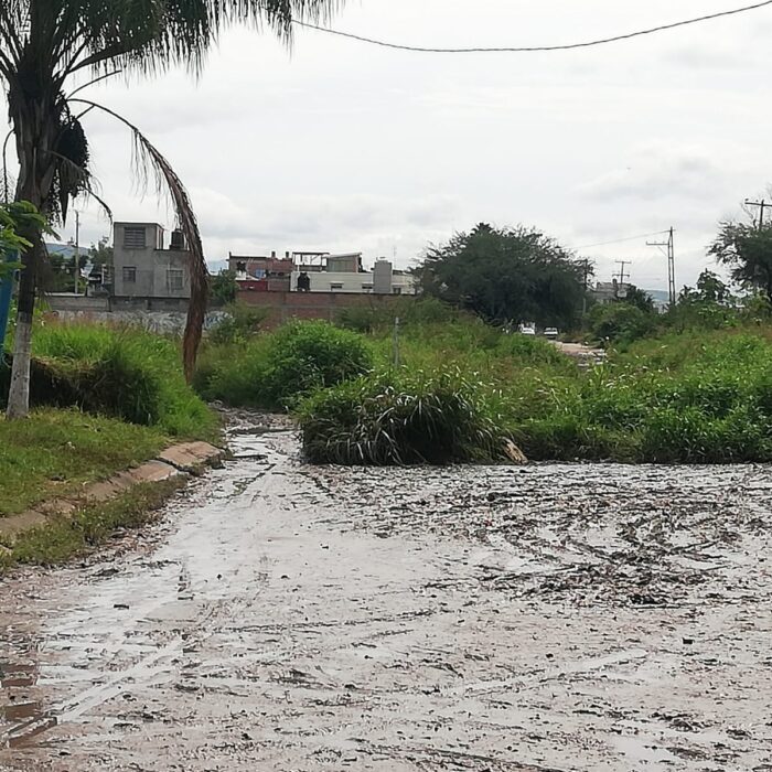 WhatsApp Image 2025-06-19 at 10.38.03 AM (2)