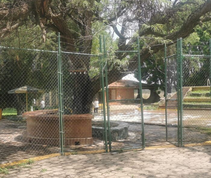 WhatsApp Image 2025-06-06 at 2.18.34 PM