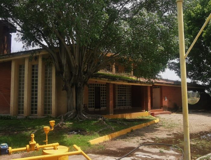 WhatsApp Image 2025-06-06 at 2.18.43 PM (1)