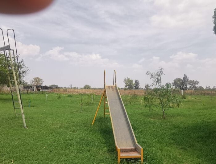 WhatsApp Image 2025-06-06 at 2.18.43 PM (2)