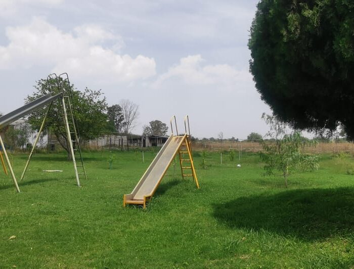 WhatsApp Image 2025-06-06 at 2.18.44 PM (1)