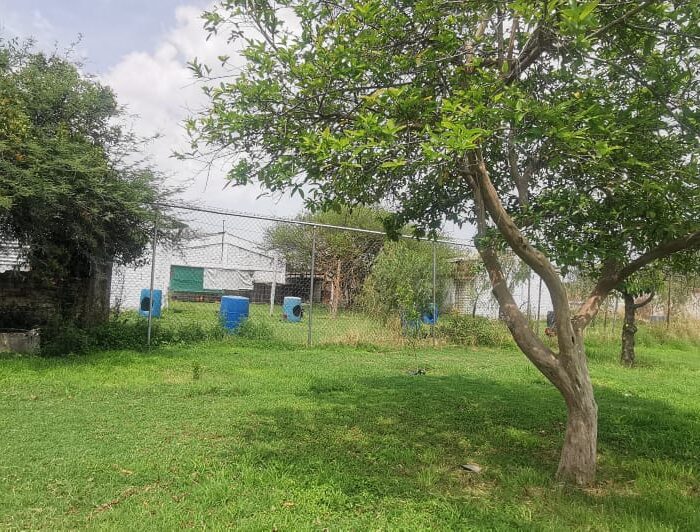 WhatsApp Image 2025-06-06 at 2.18.45 PM (1)