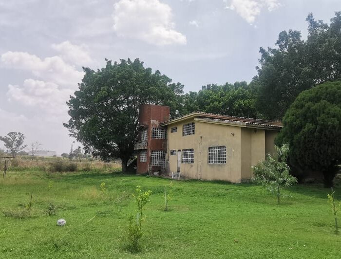 WhatsApp Image 2025-06-06 at 2.18.45 PM (4)