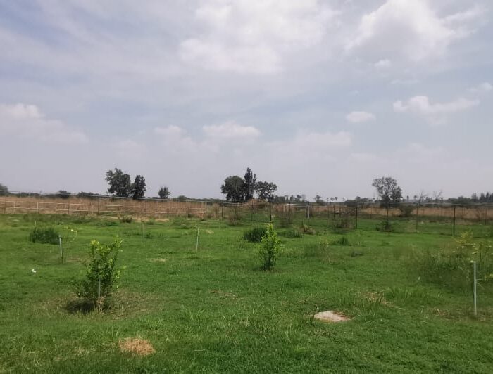 WhatsApp Image 2025-06-06 at 2.18.45 PM (5)