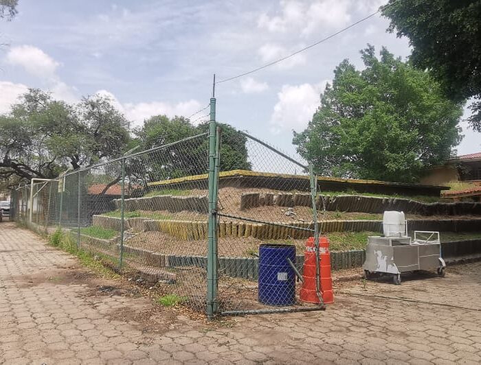 WhatsApp Image 2025-06-06 at 2.21.29 PM