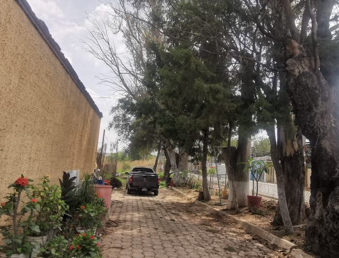 WhatsApp Image 2025-06-06 at 2.21.30 PM