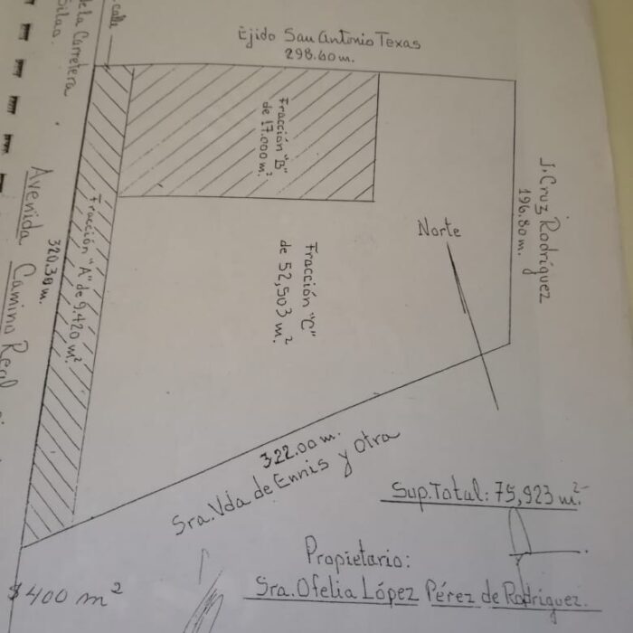 WhatsApp Image 2025-06-26 at 9.57.02 AM