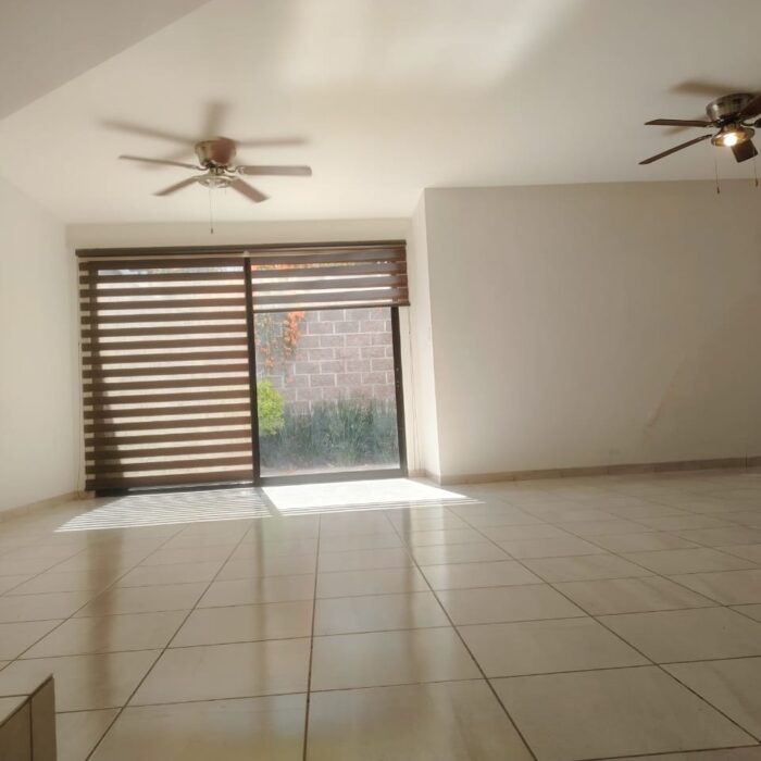 WhatsApp Image 2026-01-13 at 1.27.56 PM