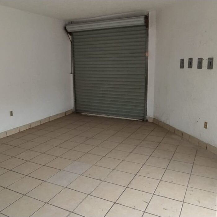 WhatsApp Image 2023-07-03 at 9.12.55 AM