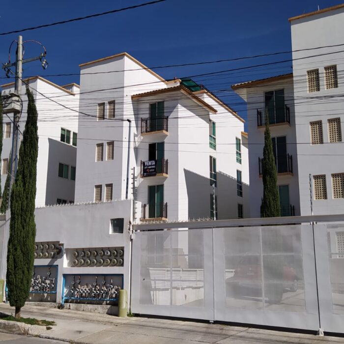 WhatsApp Image 2024-03-05 at 9.58.35 AM